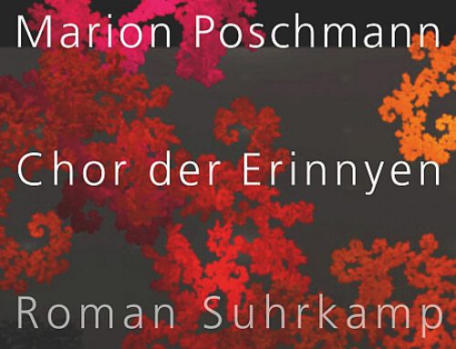 Mari­on Posch­mann, Chor der Erin­ny­en