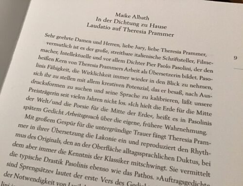 Son­der­pu­bli­ka­ti­on zur Ver­lei­hung des Gink­go-Bilo­ba Über­set­zer­prei­ses an The­re­sia Pram­mer (2019)