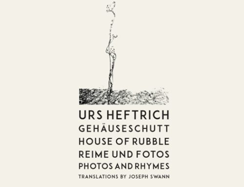 Am 27. Novem­ber 2024 spra­chen und spiel­ten Urs Heft­rich und Hei­ko Plank Rei­me aus »Gehäu­se­schutt / House of Rub­ble«